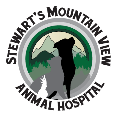 Stewart's Mountain View